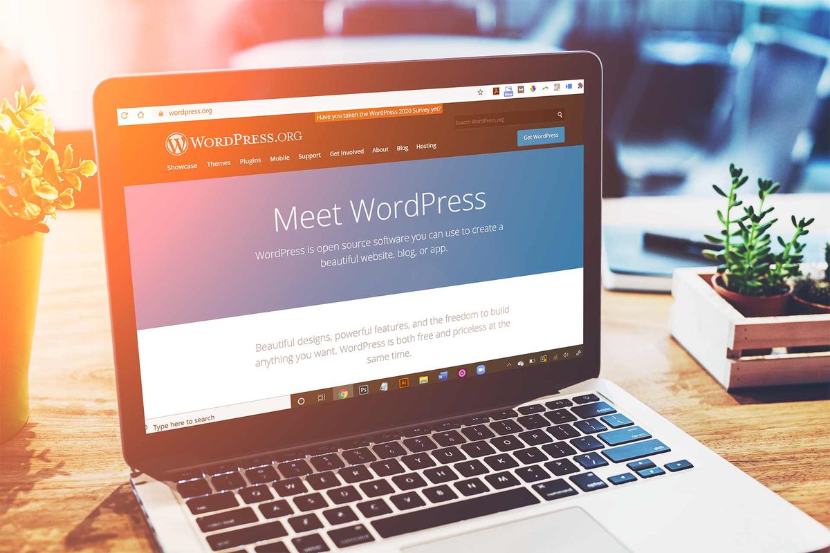 what-is-wordpress-why-its-the-best-website-platform